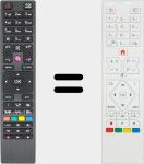 Originalfernbedienung RC4876 (30089240)