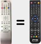 Replacement remote control for RC4800 (30077447)