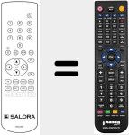 Replacement remote control for RCS 800