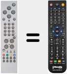 Replacement remote control for RC1551