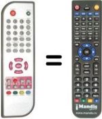 Replacement remote control DANYSTAR DVB-T 136