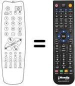 Gleichwertige Fernbedienung 1007091008 (90 CHANNELS)