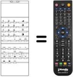 Replacement remote control 30 M