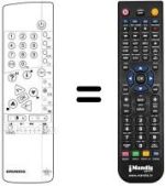 Replacement remote control Grundig ST 63-255 IDTV