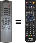 Replacement remote control UY2187F4904A