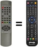 Replacement remote control RC2171