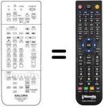 Replacement remote control RC9900