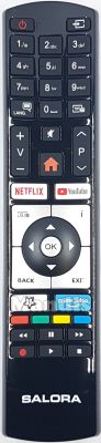 Original remote control SALORA RC4318P (23728363)