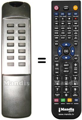 Replacement remote control 01849