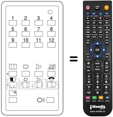 Replacement remote control 090800040