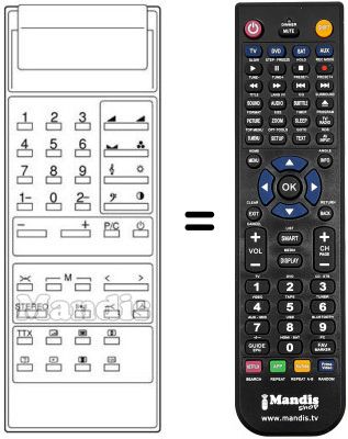 Replacement remote control 30 D1