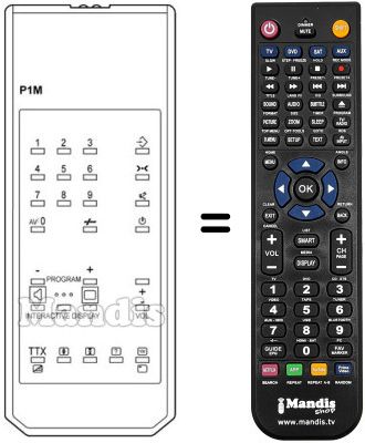 Replacement remote control P 1 M