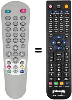 Gleichwertige Fernbedienung Zodiac DZR 1000 FTA