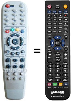 Replacement remote control Clarke Tech C-TECH 9500