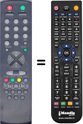 Gleichwertige Fernbedienung RC2040 Gleichwertige Fernbedienung RC2040